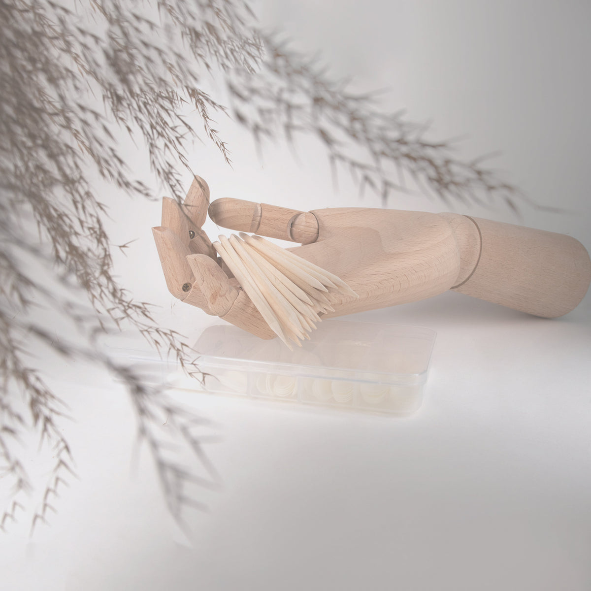 Accesorii - Nolia