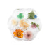 Dried Flower Nail Art - ND18-3 - Nail Art Kits & Accessories - noliashop.ro 1